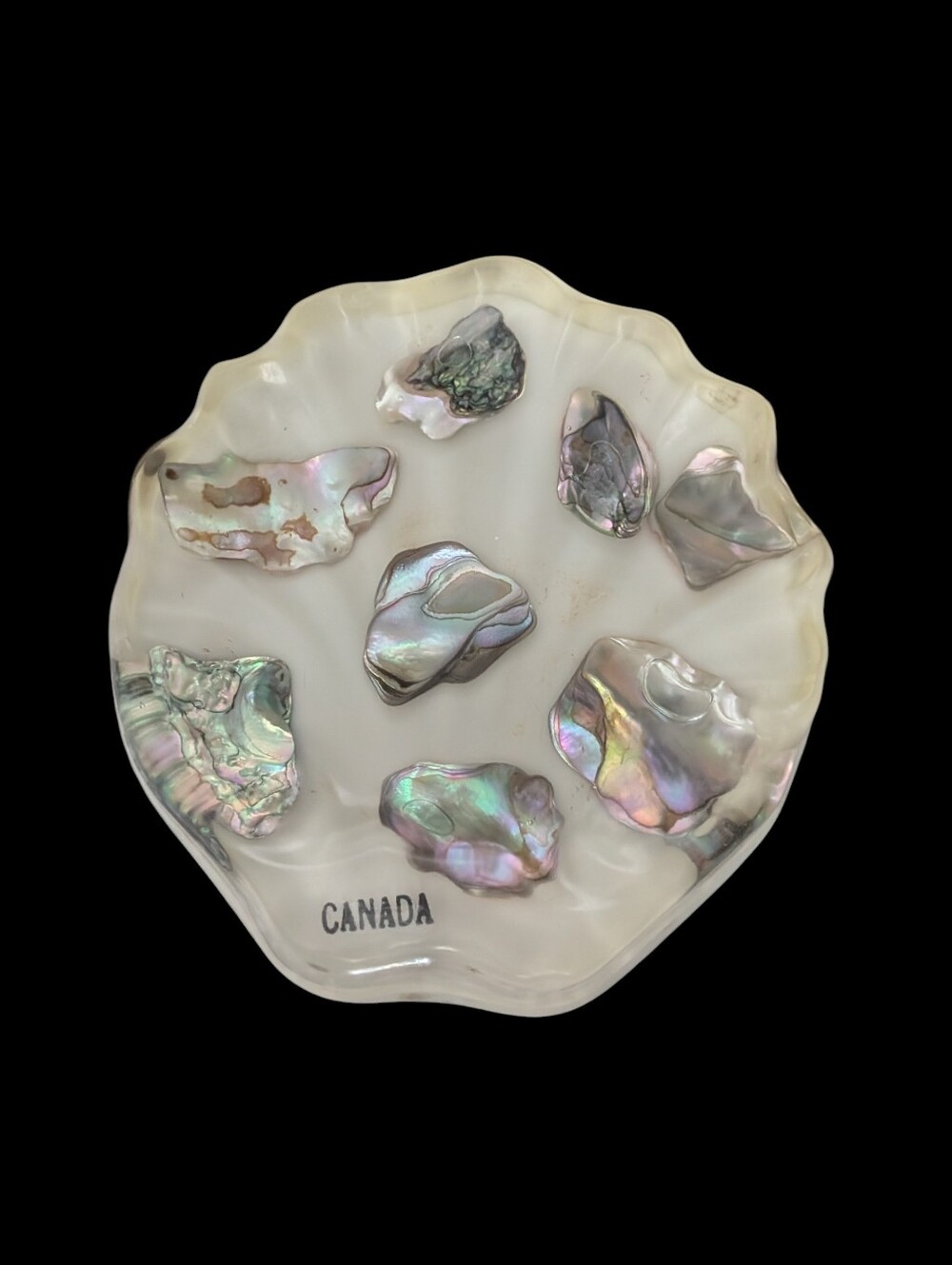 Vintage MCM Abalone In Resin Lucite - Sea Shell Shaped Trinket- Soap Dish Canada